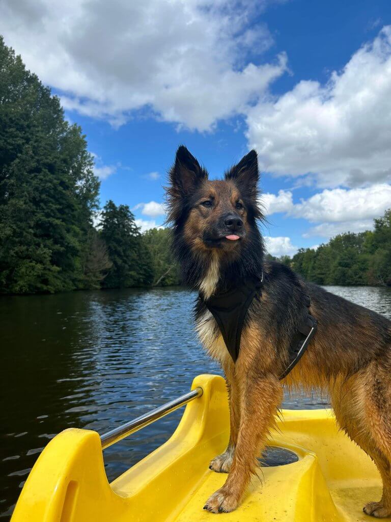 Activite nautique pedalo avec son chien